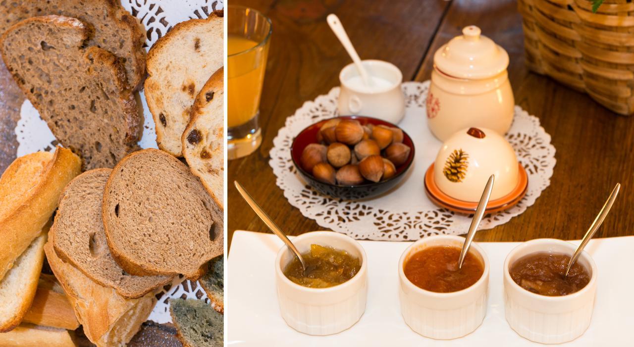 バニエール・ド・ビゴール Les Petites Vosges Bed & Breakfast エクステリア 写真